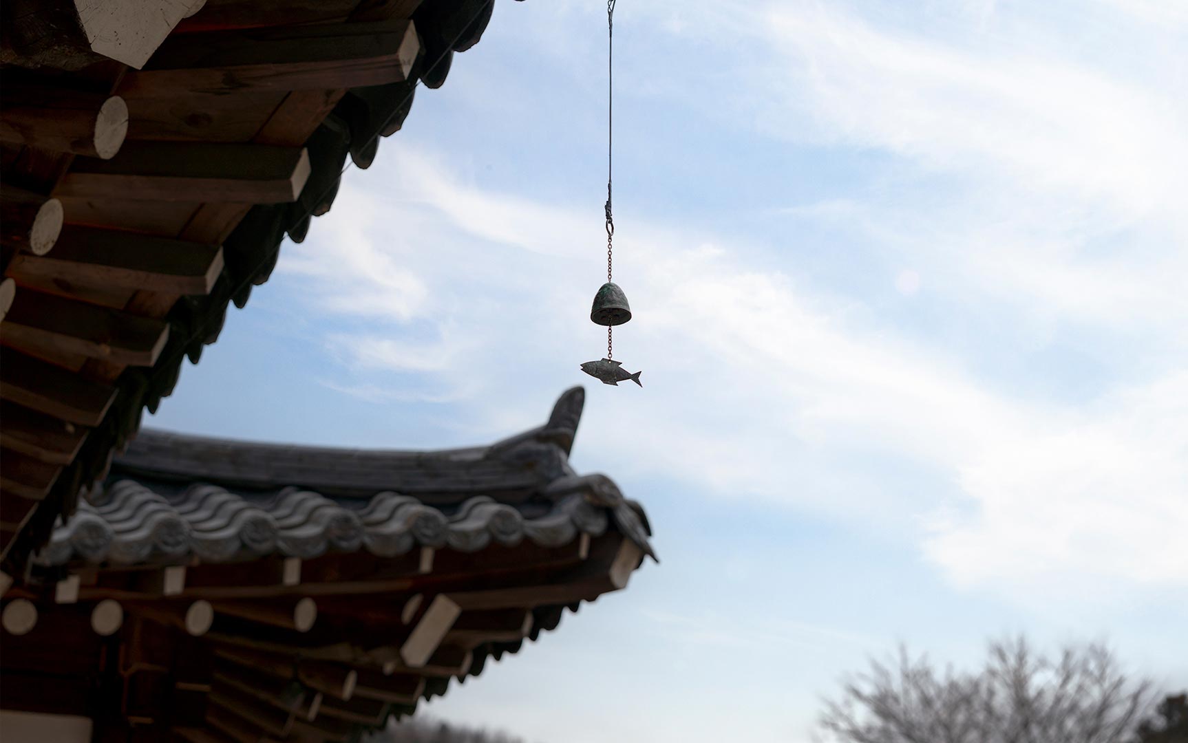 슬라이드 이미지23